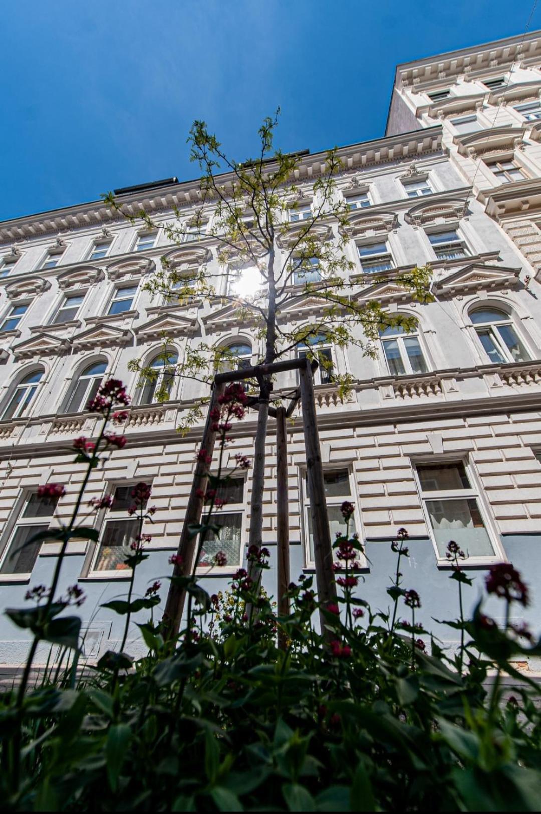 Vienna My City Apartment 2Bedroom 外观 照片